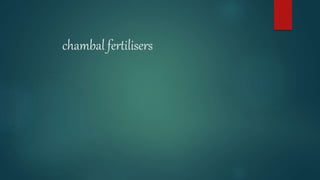 chambal fertilisers
 