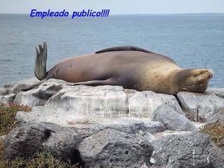 Empleado publico!!!! 