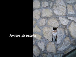 Portero de boliche 