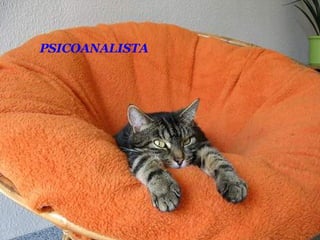 PSICOANALISTA