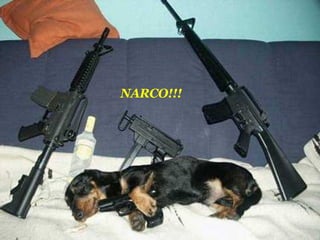 NARCO!!!