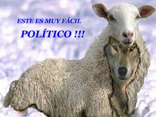 ESTE ES MUY FÁCIL POLÍTICO !!!