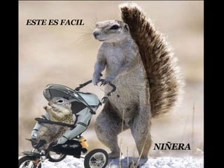 ESTE ES FACIL NIÑERA