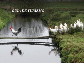 GUÍA DE TURISMO