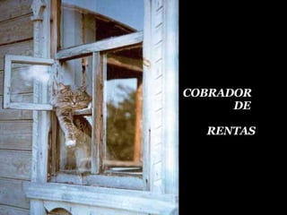 COBRADOR DE RENTAS