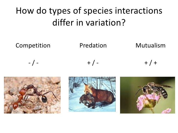 Phd dissertation types