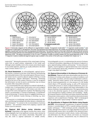 respectively,37
allowing the assessment of the central region of all seg-
ments from an apical window, independent of the model used.
Although certain variability exists in the coronary artery blood supply
to myocardial segments, segments are usually attributed to the three
major coronary arteries (Figure 5).35
3.2. Visual Assessment. In echocardiography, regional myocar-
dial function is assessed on the basis of the observed wall thickening
and endocardial motion of the myocardial segment. Because myocar-
dial motion may be caused by adjacent segment tethering or overall
LV displacement, regional deformation (thickening, shortening)
should be the focus of the analysis. However, it must be recognized
that deformation can also be passive and therefore may not always
accurately reﬂect myocardial contraction.
It is recommended that each segment be analyzed individually in
multiple views. A semiquantitative wall motion score can be assigned
to each segment to calculate the LV wall motion score index as the
average of the scores of all segments visualized. The following scoring
system is recommended: (1) normal or hyperkinetic, (2) hypokinetic
(reduced thickening), (3) akinetic (absent or negligible thickening, e.g.,
scar), and (4) dyskinetic (systolic thinning or stretching, e.g., aneu-
rysm).
An aneurysm is a morphologic entity that demonstrates focal dila-
tation and thinning (remodeling) with either akinetic or dyskinetic sys-
tolic deformation.38
In contrast to the recommendation of previous
guidelines,1,2
this committee refrains from assigning a separate wall
motion score for aneurysm.
3.3. Regional Wall Motion during Infarction and
Ischemia. Depending on the regional coronary ﬂow reserve, stress
echocardiography may reveal signiﬁcant coronary artery stenoses by
means of inducing a wall motion abnormality. Myocardial scar
may also result in regional dysfunction of variable severity.
Echocardiography can over- or underestimate the amount of ischemic
or infarcted myocardium, depending on the function of adjacent re-
gions, regional loading conditions, and stunning.39
In stress echocardi-
ography, visual recognition of regional dysfunction can be improved
with a synchronized side-by-side comparison of baseline and stress
images using digital technology.40
3.4. Regional Abnormalities in the Absence of Coronary Ar-
tery Disease. Regional wall motion abnormalities may also occur in
the absence of coronary artery disease, in a variety of conditions, such
as myocarditis, sarcoidosis, and stress-induced (takotsubo) cardiomy-
opathy. Abnormal motion patterns of the interventricular septum
may be found postoperatively or in the presence of a left bundle
branch block or RV epicardial pacing, as well as RV dysfunction
caused by RV pressure or volume overload. Furthermore, some con-
duction delays can cause regional wall motion abnormalities in the
absence of primary myocardial dysfunction. This regional dysfunction
is due to the abnormal sequence of myocardial activation, which
causes heterogeneous loading conditions and remodeling.41
Ideally,
the temporal sequence of activation and motion should be described.
Characteristic motion patterns, which result from abnormal activation
sequences, such as septal bounce (‘‘beaking,’’ ‘‘ﬂash’’) or lateral apical
motion during systole (‘‘apical rocking’’) should be reported.42-45
3.5. Quantiﬁcation of Regional Wall Motion Using Doppler
and STE. Echocardiographic quantiﬁcation of regional myocardial
function is currently based on DTI or speckle-tracking echocardio-
graphic techniques.46-48
Both techniques provide comparable data
quality, although DTI is known to be angle dependent and prone to
underestimating motion that is not parallel to the ultrasound beam.
Commonly used parameters include velocity, motion, deformation,
and deformation rate. Because velocity and motion are measured
relative to the transducer, measurements may be inﬂuenced by
Figure 3 Schematic diagram of the different LV segmentation models: 16-segment model (left),36
17-segment model (center),35
and
18-segment model (right). In all diagrams, the outer ring represents the basal segments, the middle ring represents the segments at mid-
papillary muscle level, and the inner ring represents the distal level. The anterior insertion of the right ventricular wall into the left ventricle
deﬁnes the border between the anteroseptal and anterior segments. Starting from this point, the myocardium is subdivided into six equal
segments of 60
. The apical myocardium in the 16- and 17-segment models is divided instead into four equal segments of 90
. In the
17-segment model an additional segment (apical cap) is added in the center of the bull’s-eye. (modiﬁed from Voigt et al.24
).
Journal of the American Society of Echocardiography
Volume 28 Number 1
Lang et al 11
 