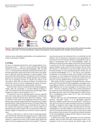 reference values, suboptimal reproducibility, and considerable inter-
vendor measurement variability.
4. LV Mass
LV mass is an important risk factor for, and a strong predictor of, car-
diovascular events.52-55
There are several methods that effectively
calculate LV mass from M-mode echocardiography, 2DE, and 3DE
(Table 5). All measurements should be performed at the end of dias-
tole (the frame before mitral valve closure or the frame in the cardiac
cycle in which the ventricular dimension or volume is largest). Those
that use M-mode (either blinded or 2D-guided) and 2D echocardio-
graphic linear measurements of LV diastolic diameter and wall thick-
ness rely on geometric formulas to calculate the volume of LV
myocardium, while 3DE can measure it directly. All methods then
convert the volume to mass by multiplying the volume of myocar-
dium by the myocardial density (approximately 1.05 g/mL).
When the entire ventricle is measured from 2D echocardiographic
images, either the area-length or truncated ellipsoid technique is
used.1
Each method for LV mass measurement has advantages, disad-
vantages, and value in speciﬁc situations (Table 5).
To measure LV mass in an individual patient over time, especially
those with cardiac disease, the 2D echocardiographic methods have
advantages compared with the linear dimension technique.1
There
are, however, fewer studies of the prognostic value of LV mass calcu-
lated by these methods compared with the linear dimension method
described below. Unlike the linear dimension or M-mode method, the
2D echocardiographic methods can accommodate for the shape of
the ventricle and account for changes in LV size that might occur
along the long axis of the chamber. This is an important consideration,
because changes in LV geometry are common in various cardiac dis-
eases.
However, when there is a need to screen or study large popula-
tions, the M-mode method has advantages, because it is simple, quick,
and subject to less measurement variability. There is a large body of
evidence to support the accuracy of this method. Most studies that
relate LV mass to prognosis are based on this method.56
However,
several caveats need to be mentioned. First, it is critical that the wall
thickness and LV dimensions measured be truly perpendicular to
the long axis of the left ventricle. Therefore, 2D-guided M-mode im-
aging or measurements from 2D echocardiographic images are
preferred over blind M-mode imaging. Second, the formula includes
a correction for the 20% overestimation that was found during the
original validation studies of the M-mode technique. Because direct
2D measures of wall thickness may yield smaller values than the
M-mode technique, LV mass calculated using this formula may not
be directly interchangeable (Table 5). This may be a less important
consideration if the method is being used to identify cutoff values
for prognosis. It is also important to note that the formula raises the
linear dimensions to the power of 3, and thus even small errors in di-
mensions can have signiﬁcant effects on the calculated LV mass.
Most studies that have compared 2D-guided M-mode measure-
ments of LV mass with the 2D echocardiographic area-length or trun-
cated ellipsoid methods in normally shaped ventricles have shown
subtle differences but no clear advantage of one technique over the
other.57
However, comparison studies have not been performed in
the current era, when tremendous gains in 2D echocardiographic im-
age quality have been made. In fact, large population studies conﬁrm-
ing or reestablishing normal values for LV mass with harmonic
imaging are limited.58,59
Because 3DE is the only echocardiographic method that directly
measures myocardial volume, it is an appropriate approach.
Numerous validation studies have been performed.60
However, to
date, there have been few studies assessing its practical use, feasibility,
variability, or prognostic value in large-scale clinical environments.61
Accordingly, it is the consensus of this committee that the 3D echo-
cardiographic LV mass data available in normal subjects are not sufﬁ-
cient to recommend normal reference values. It must also be noted
that continuous improvements in the spatial and temporal resolution
of 3D echocardiographic imaging will also inﬂuence normal values
and measurement variability.
In patients with upper septal hypertrophy, the linear dimension
methods, which use basal ventricular measurements, result in over-
estimation of the true mass, because the thickest region of the
Figure 5 Typical distributions of the right coronary artery (RCA), the left anterior descending coronary artery (LAD), and the circumﬂex
coronary artery (CX). The arterial distribution varies among patients. Some segments have variable coronary perfusion.
Journal of the American Society of Echocardiography
Volume 28 Number 1
Lang et al 13
 