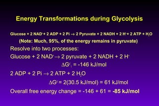 Energy Transformations during GlycolysisEnergy Transformations during Glycolysis
Glucose + 2 NAD+
+ 2 ADP + 2 Pi → 2 Pyruvate + 2 NADH + 2 H+
+ 2 ATP + H2O
(Note: Much, 95%, of the energy remains in pyruvate)
Resolve into two processes:
Glucose + 2 NAD+
→ 2 pyruvate + 2 NADH + 2 H+
∆Go´
1 = -146 kJ/mol
2 ADP + 2 Pi → 2 ATP + 2 H2O
∆Go´
= 2(30.5 kJ/mol) = 61 kJ/mol
Overall free energy change = -146 + 61 = -85 kJ/mol
 