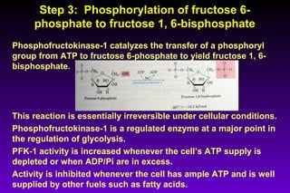 Step 3: Phosphorylation of fructose 6-Step 3: Phosphorylation of fructose 6-
phosphate to fructose 1, 6-bisphosphatephosphate to fructose 1, 6-bisphosphate
Phosphofructokinase-1 catalyzes the transfer of a phosphoryl
group from ATP to fructose 6-phosphate to yield fructose 1, 6-
bisphosphate.
This reaction is essentially irreversible under cellular conditions.
Phosphofructokinase-1 is a regulated enzyme at a major point in
the regulation of glycolysis.
PFK-1 activity is increased whenever the cell’s ATP supply is
depleted or when ADP/Pi are in excess.
Activity is inhibited whenever the cell has ample ATP and is well
supplied by other fuels such as fatty acids.
 