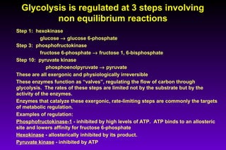Glycolysis is regulated at 3 steps involvingGlycolysis is regulated at 3 steps involving
non equilibrium reactionsnon equilibrium reactions
Step 1: hexokinase
glucose → glucose 6-phosphate
Step 3: phosphofructokinase
fructose 6-phosphate → fructose 1, 6-bisphosphate
Step 10: pyruvate kinase
phosphoenolpyruvate → pyruvate
These are all exergonic and physiologically irreversible
These enzymes function as “valves”, regulating the flow of carbon through
glycolysis. The rates of these steps are limited not by the substrate but by the
activity of the enzymes.
Enzymes that catalyze these exergonic, rate-limiting steps are commonly the targets
of metabolic regulation.
Examples of regulation:
Phosphofructokinase-1 - inhibited by high levels of ATP. ATP binds to an allosteric
site and lowers affinity for fructose 6-phosphate
Hexokinase - allosterically inhibited by its product.
Pyruvate kinase - inhibited by ATP
 