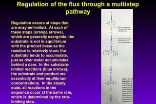Regulation occurs at steps that
are enzyme-limited. At each of
these steps (orange arrows),
which are generally exergonic, the
substrate is not in equilibrium
with the product because the
reaction is relatively slow; the
substrate tends to accumulate,
just as river water accumulates
behind a dam. In the substrate-
limited reactions (blue arrows),
the substrate and product are
essentially at their equilibrium
concentrations. In the steady
state, all reactions in the
sequence occur at the same rate,
which is determined by the rate-
limiting step.
Regulation of the flux through a multistepRegulation of the flux through a multistep
pathwaypathway
 