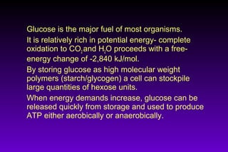 Glucose is the major fuel of most organisms.
It is relatively rich in potential energy- complete
oxidation to CO2 and H2O proceeds with a free-
energy change of -2,840 kJ/mol.
By storing glucose as high molecular weight
polymers (starch/glycogen) a cell can stockpile
large quantities of hexose units.
When energy demands increase, glucose can be
released quickly from storage and used to produce
ATP either aerobically or anaerobically.
 