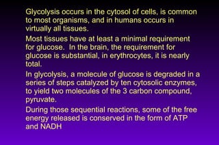 Glycolysis occurs in the cytosol of cells, is common
to most organisms, and in humans occurs in
virtually all tissues.
Most tissues have at least a minimal requirement
for glucose. In the brain, the requirement for
glucose is substantial, in erythrocytes, it is nearly
total.
In glycolysis, a molecule of glucose is degraded in a
series of steps catalyzed by ten cytosolic enzymes,
to yield two molecules of the 3 carbon compound,
pyruvate.
During those sequential reactions, some of the free
energy released is conserved in the form of ATP
and NADH
 