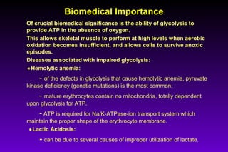 Biomedical ImportanceBiomedical Importance
Of crucial biomedical significance is the ability of glycolysis to
provide ATP in the absence of oxygen.
This allows skeletal muscle to perform at high levels when aerobic
oxidation becomes insufficient, and allows cells to survive anoxic
episodes.
Diseases associated with impaired glycolysis:
♦Hemolytic anemia:
- of the defects in glycolysis that cause hemolytic anemia, pyruvate
kinase deficiency (genetic mutations) is the most common.
- mature erythrocytes contain no mitochondria, totally dependent
upon glycolysis for ATP.
- ATP is required for Na/K-ATPase-ion transport system which
maintain the proper shape of the erythrocyte membrane.
♦Lactic Acidosis:
- can be due to several causes of improper utilization of lactate.
 