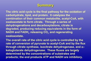 SummarySummary
The citric acid cycle is the final pathway for the oxidation of
carbohydrate, lipid, and protein. It catalyzes the
combination of their common metabolite, acetyl-CoA, with
oxaloacetate to form citrate. Through a series of
dehydrogenations and decarboxylations, citrate is
degraded, producing reducing equivalents in the form of
NADH and FADH2, releasing CO2, and regenerating
oxaloacetate.
The overall rate of the citric acid cycle is controlled by the
rate of conversion of pyruvate to acetyl-CoA and by the flux
through citrate synthase, isocitrate dehydrogenase, and α-
ketoglutarate dehydrogenase. These fluxes are largely
determined by the concentrations of substrates and
products; the end products ATP and NADH are inhibitory.
 
