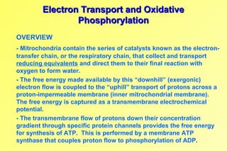 Electron Transport and Oxidative Phosphorylation | PPT
