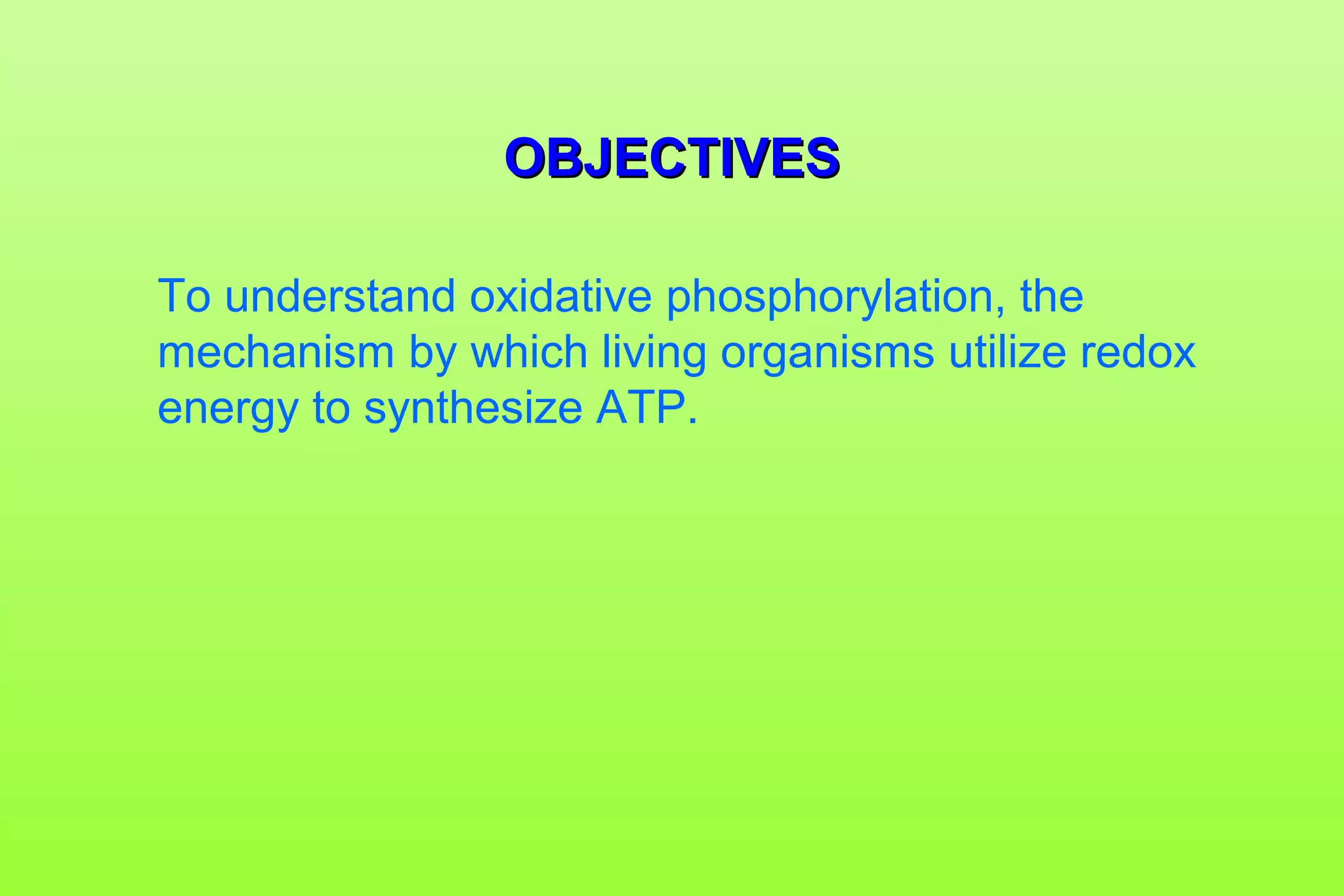 Oxidative Phosphorylation | PPT