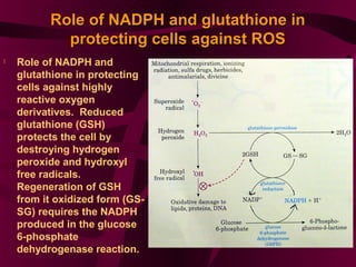 nadph and glutathione protect cells against reactive oxygen derivatives Several lines of antioxidant defense oxidative stress: antioxidant enzymes, nanomaterials with multiple enzyme-mimicking activities, low-molecular-weight antioxidants | Archives of Toxicology Reactive Oxygen Species Signaling and