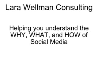 Lara Wellman Consulting ,[object Object],[object Object]