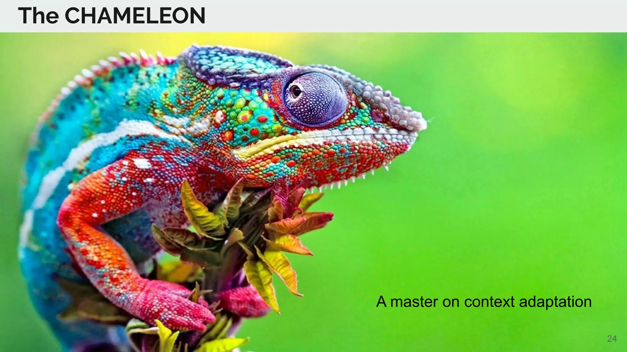 The CHAMELEON
A master on context adaptation
24
 