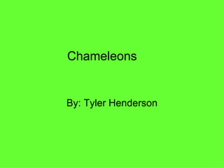 Chameleons By: Tyler Henderson 