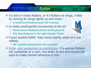 Insect Flutter Chameleons And Codas Ss | PPT