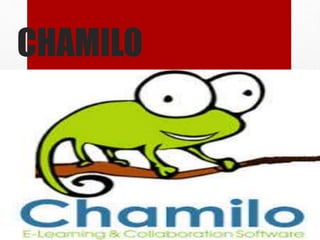 CHAMILO
 