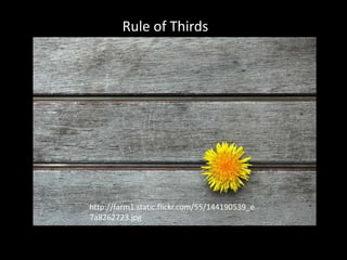 Rule of Thirds




http://farm1.static.flickr.com/55/144190539_e
7a8262723.jpg
 
