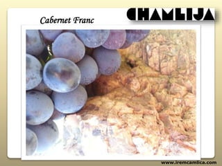 www.iremcamlica.com
Cabernet Franc
 