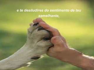 e te desiludires do sentimento de teu semelhante, 
