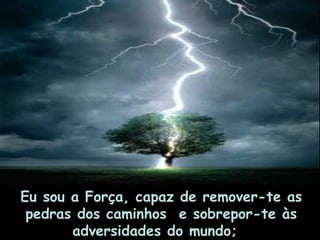 Eu sou a Força, capaz de remover-te as pedras dos caminhos  e sobrepor-te às adversidades do mundo;      