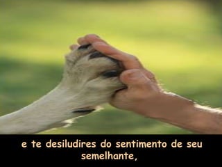 e te desiludires do sentimento de seu semelhante,   