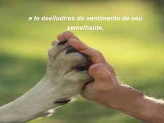 e te desiludires do sentimento de seu
semelhante,

 