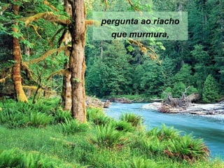 pergunta ao riacho
  que murmura,
 
