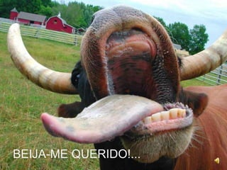 BEIJA-ME QUERIDO!...