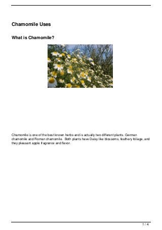 Chamomile Uses

What is Chamomile?




Chamomile is one of the best known herbs and is actually two different plants. German
chamomile and Roman chamomile. Both plants have Daisy like blossoms, feathery foliage, and
they pleasant apple fragrance and flavor.




                                                                                     1/4
 