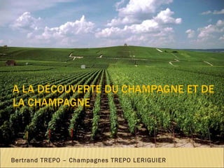 Bertrand TREPO – Champagnes TREPO LERIGUIER 