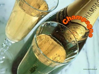 Champagne 