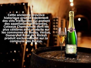 Cette ancienne province historique produit également des vins tranquilles qui portent des appellations différentes, Coteaux Champenois dont les plus célèbres sont produits sur les communes de Bouzy, Vertus, Damery et Rosé des Riceys produit exclusivement sur la commune des Riceys. 