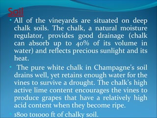 Soil
• All of the vineyards are situated on deep
chalk soils. The chalk, a natural moisture
regulator, provides good drainage (chalk
can absorb up to 40% of its volume in
water) and reflects precious sunlight and its
heat.
• The pure white chalk in Champagne’s soil
drains well, yet retains enough water for the
vines to survive a drought. The chalk’s high
active lime content encourages the vines to
produce grapes that have a relatively high
acid content when they become ripe.
• 1800 to1000 ft of chalky soil.
 