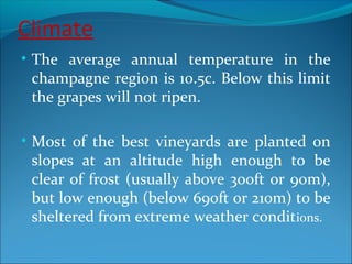 Climate
• The average annual temperature in the
champagne region is 10.5c. Below this limit
the grapes will not ripen.
• Most of the best vineyards are planted on
slopes at an altitude high enough to be
clear of frost (usually above 300ft or 90m),
but low enough (below 690ft or 210m) to be
sheltered from extreme weather conditions.
 