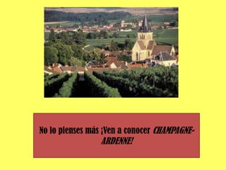 Los bizcochos de Reims    productos para todos los gustos…