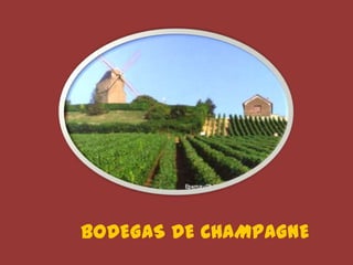 BODEGAS DE CHAMPAGNE