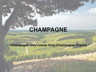 CHAMPAGNE
“Champagne only comes from Champagne, France.”

 