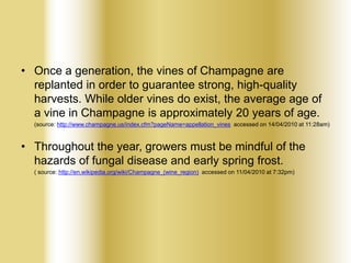 • Once a generation, the vines of Champagne are
replanted in order to guarantee strong, high-quality
harvests. While older vines do exist, the average age of
a vine in Champagne is approximately 20 years of age.
(source: http://www.champagne.us/index.cfm?pageName=appellation_vines accessed on 14/04/2010 at 11:28am)

• Throughout the year, growers must be mindful of the
hazards of fungal disease and early spring frost.
( source: http://en.wikipedia.org/wiki/Champagne_(wine_region) accessed on 11/04/2010 at 7:32pm)

 