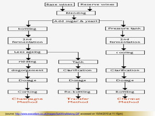 (source: http://www.execellars.co.uk/images/SpkWineMaking.GIF accessed on 15/04/2010 at 11:15pm)

 