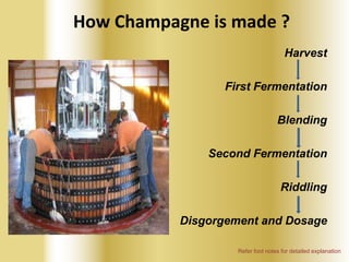How Champagne is made ?
Harvest

First Fermentation
Blending

Second Fermentation
Riddling
Disgorgement and Dosage
Refer foot notes for detailed explanation

 