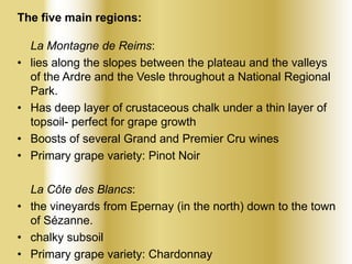 The five main regions:

•

•
•
•

La Montagne de Reims:
lies along the slopes between the plateau and the valleys
of the Ardre and the Vesle throughout a National Regional
Park.
Has deep layer of crustaceous chalk under a thin layer of
topsoil- perfect for grape growth
Boosts of several Grand and Premier Cru wines
Primary grape variety: Pinot Noir

La Côte des Blancs:
• the vineyards from Epernay (in the north) down to the town
of Sézanne.
• chalky subsoil
• Primary grape variety: Chardonnay

 