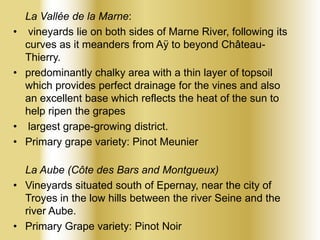 •

•

•
•

La Vallée de la Marne:
vineyards lie on both sides of Marne River, following its
curves as it meanders from Aÿ to beyond ChâteauThierry.
predominantly chalky area with a thin layer of topsoil
which provides perfect drainage for the vines and also
an excellent base which reflects the heat of the sun to
help ripen the grapes
largest grape-growing district.
Primary grape variety: Pinot Meunier

La Aube (Côte des Bars and Montgueux)
• Vineyards situated south of Epernay, near the city of
Troyes in the low hills between the river Seine and the
river Aube.
• Primary Grape variety: Pinot Noir

 